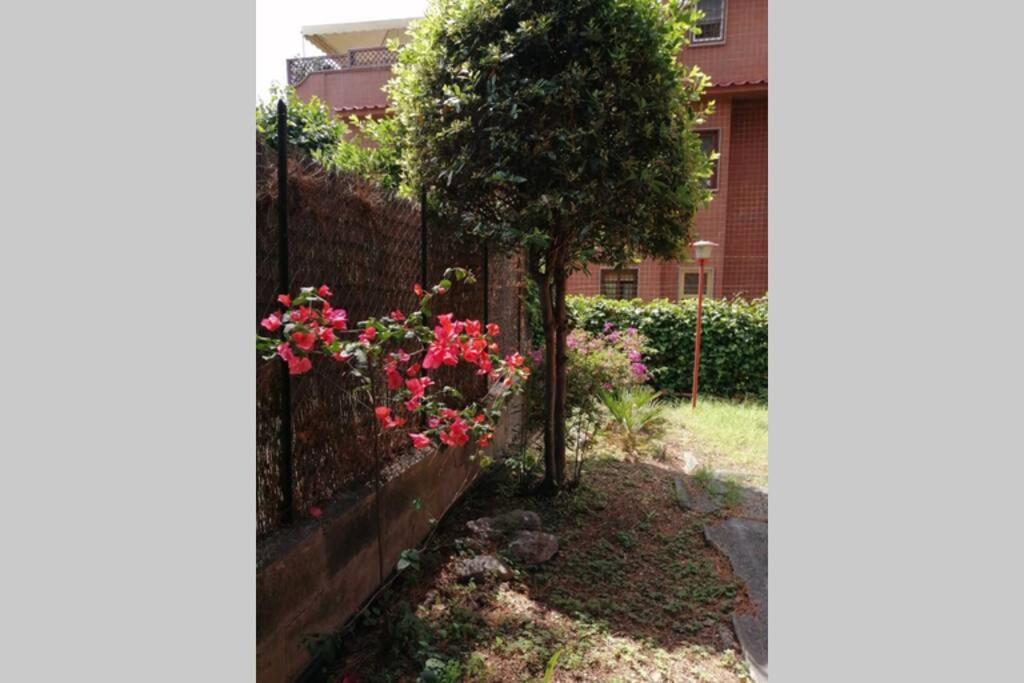 La Casa Della Mia Famiglia Apartment Rome Luaran gambar